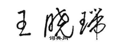 骆恒光王晓瑞草书个性签名怎么写