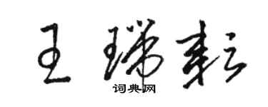 骆恒光王瑞耘草书个性签名怎么写