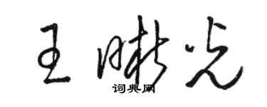 骆恒光王晰光草书个性签名怎么写