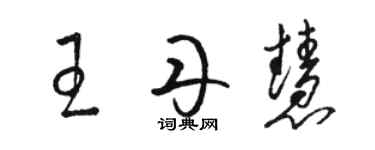 骆恒光王丹慧草书个性签名怎么写
