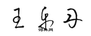 骆恒光王乐丹草书个性签名怎么写