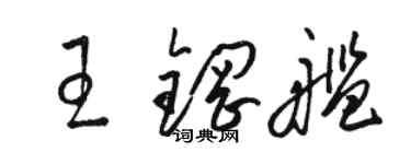 骆恒光王钢舰草书个性签名怎么写