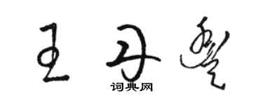 骆恒光王丹丰草书个性签名怎么写
