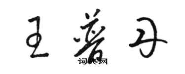 骆恒光王普丹草书个性签名怎么写