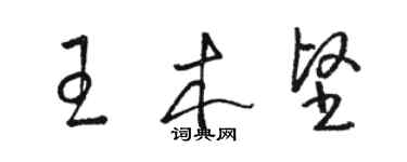 骆恒光王木坚草书个性签名怎么写