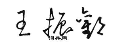 骆恒光王振欢草书个性签名怎么写