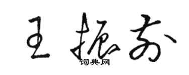 骆恒光王振前草书个性签名怎么写
