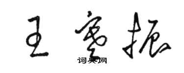 骆恒光王寒振草书个性签名怎么写