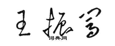 骆恒光王振闯草书个性签名怎么写