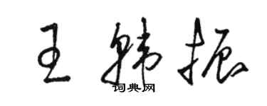 骆恒光王韩振草书个性签名怎么写