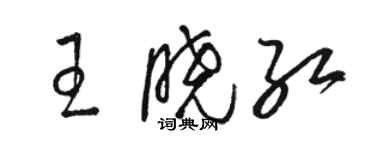 骆恒光王晓红草书个性签名怎么写