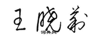 骆恒光王晓莉草书个性签名怎么写