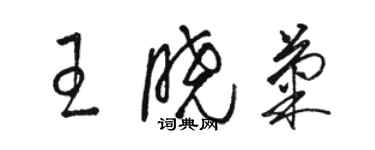 骆恒光王晓菊草书个性签名怎么写