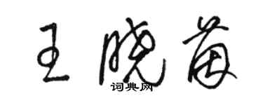 骆恒光王晓茵草书个性签名怎么写