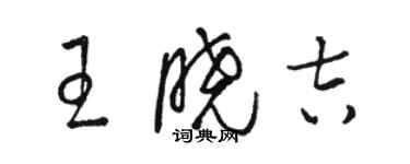 骆恒光王晓吉草书个性签名怎么写