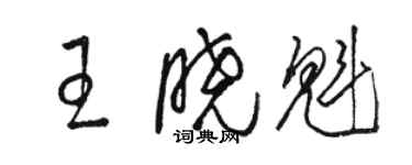 骆恒光王晓魁草书个性签名怎么写