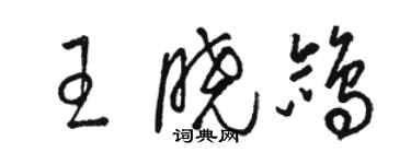 骆恒光王晓鸽草书个性签名怎么写