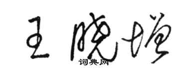 骆恒光王晓增草书个性签名怎么写