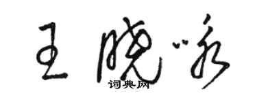骆恒光王晓咏草书个性签名怎么写