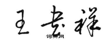 骆恒光王书祥草书个性签名怎么写