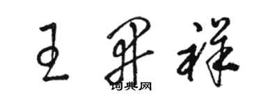 骆恒光王开祥草书个性签名怎么写