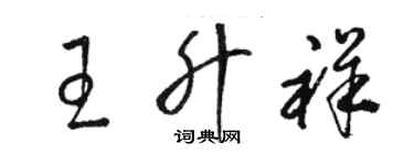 骆恒光王升祥草书个性签名怎么写