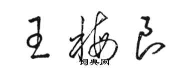 骆恒光王梅良草书个性签名怎么写