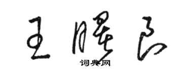骆恒光王曙良草书个性签名怎么写