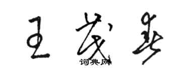 骆恒光王茂春草书个性签名怎么写