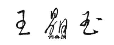 骆恒光王晶玉草书个性签名怎么写