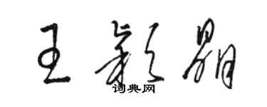 骆恒光王颖晶草书个性签名怎么写
