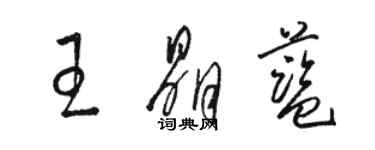 骆恒光王晶蓝草书个性签名怎么写