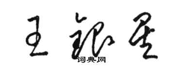 骆恒光王银星草书个性签名怎么写