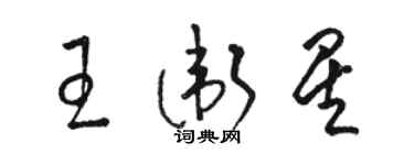 骆恒光王卫星草书个性签名怎么写