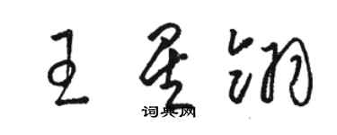 骆恒光王星翎草书个性签名怎么写