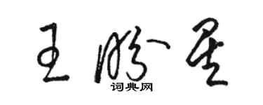 骆恒光王盼星草书个性签名怎么写
