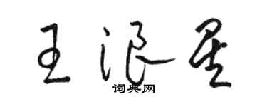 骆恒光王浪星草书个性签名怎么写