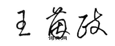 骆恒光王茵政草书个性签名怎么写