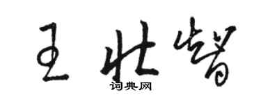 骆恒光王壮智草书个性签名怎么写