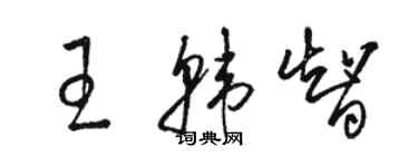 骆恒光王韩智草书个性签名怎么写