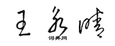 骆恒光王永晴草书个性签名怎么写