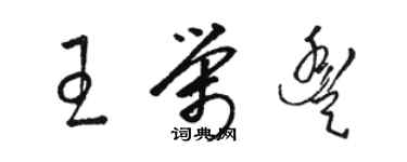 骆恒光王荣丰草书个性签名怎么写