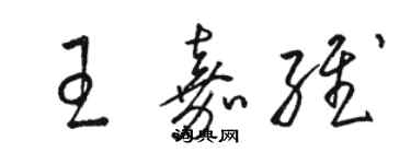 骆恒光王嘉维草书个性签名怎么写