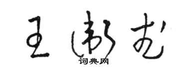 骆恒光王卫武草书个性签名怎么写