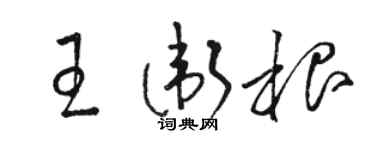骆恒光王卫根草书个性签名怎么写