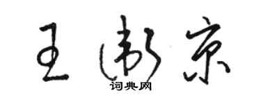 骆恒光王卫京草书个性签名怎么写