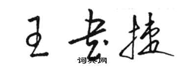 骆恒光王书捷草书个性签名怎么写