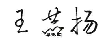 骆恒光王赫扬草书个性签名怎么写