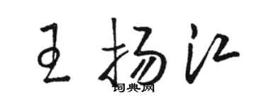 骆恒光王扬江草书个性签名怎么写