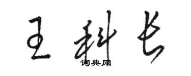 骆恒光王科长草书个性签名怎么写